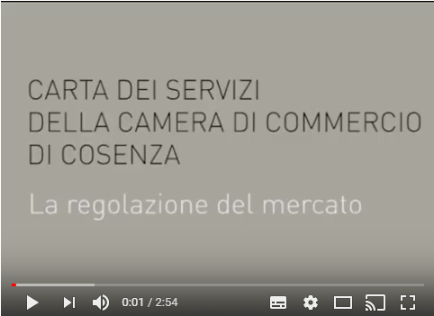 I video dei servizi della Camera di Cosenza
