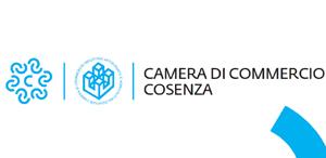 Logo Camera