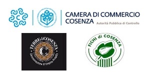 Struttura di Controllo