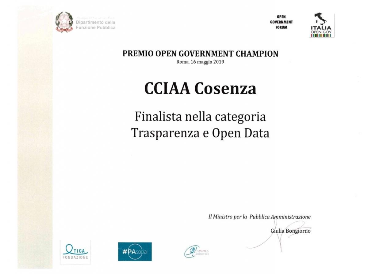 Premio OpenGov Champion